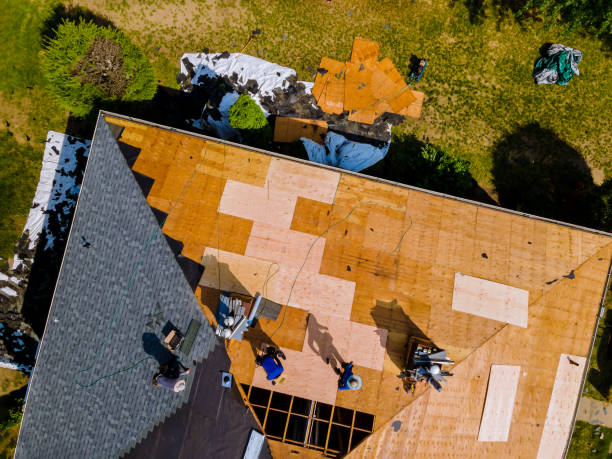 Best Roof Maintenance Services  in Anton, TX